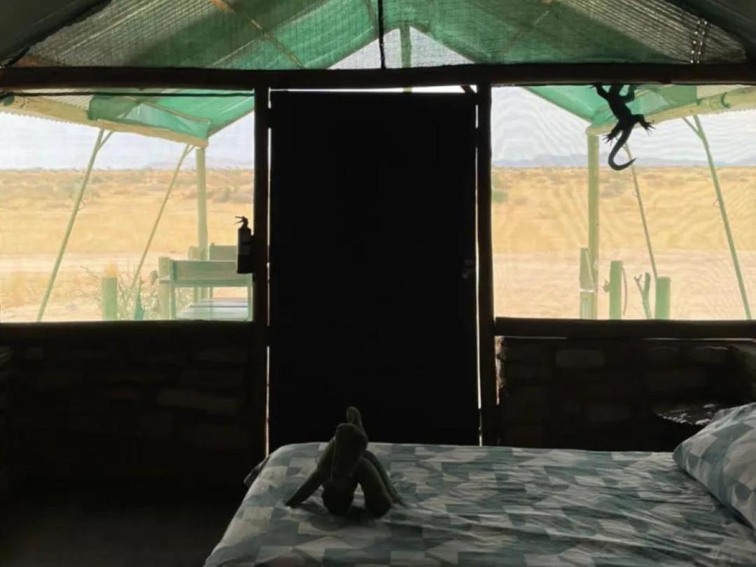 Camp Gecko - Private Nature Reserve; Tented Camp And Campsite 솔리테르 외부 사진
