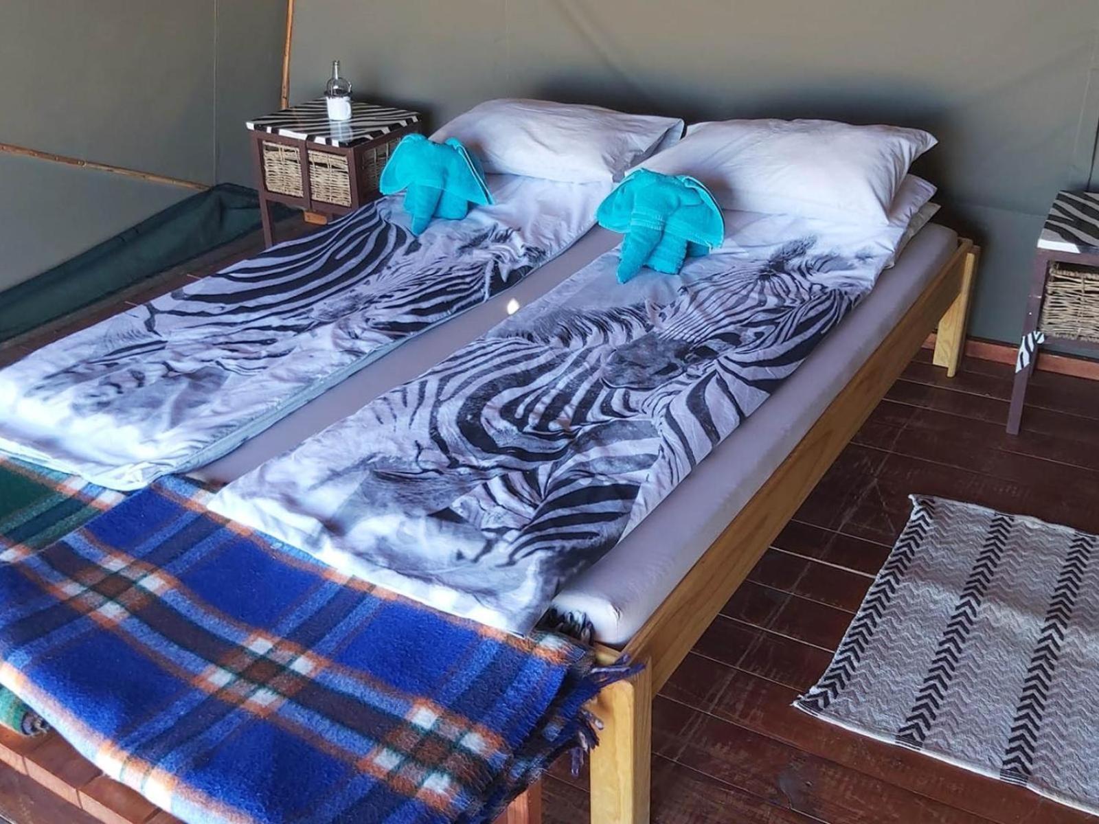 Camp Gecko - Private Nature Reserve; Tented Camp And Campsite 솔리테르 외부 사진