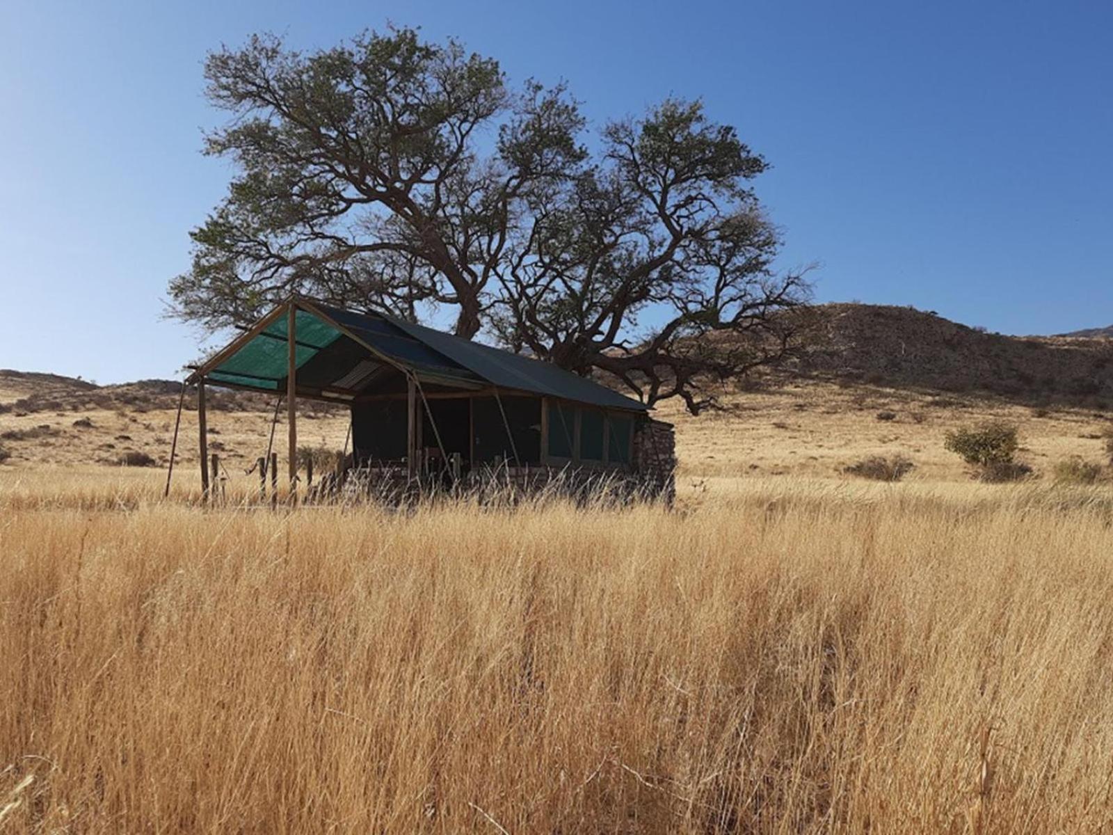Camp Gecko - Private Nature Reserve; Tented Camp And Campsite 솔리테르 외부 사진
